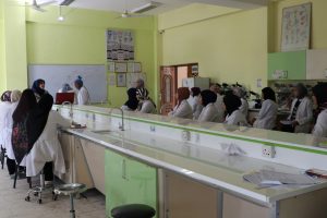 Read more about the article The University of Karbala organizes a training course on the optimal use of antibiotics