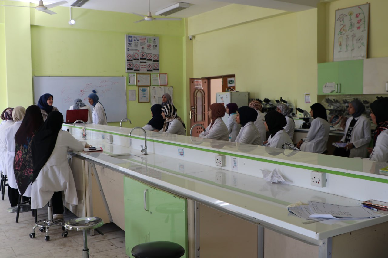 You are currently viewing The University of Karbala organizes a training course on the optimal use of antibiotics
