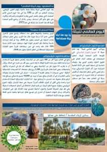Read more about the article The faculty of Science Organizes an Awareness Poster on World Environment Day