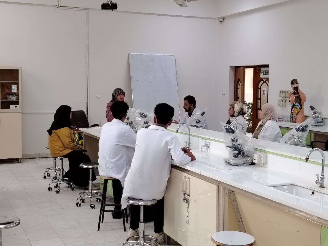 Read more about the article College of Science Organizes Training Course on Contaminating Fungi in Fruits and Vegetables: Detection and Control Methods